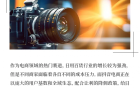 爆品只是日百商家的表面“风光”